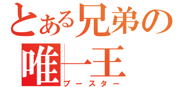 とある兄弟の唯一王（ブースター）