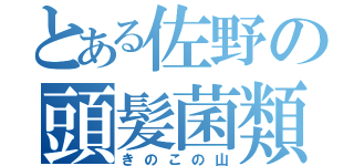 とある佐野の頭髪菌類（きのこの山）