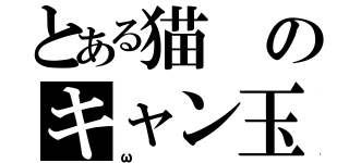 とある猫のキャン玉（ω）