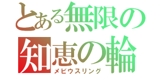 とある無限の知恵の輪（メビウスリング）