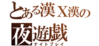 とある漢Ｘ漢の夜遊戯（ナイトプレイ）