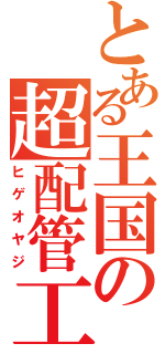 とある王国の超配管工（ヒゲオヤジ）