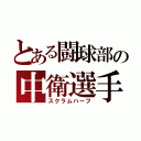 とある闘球部の中衛選手（スクラムハーフ）