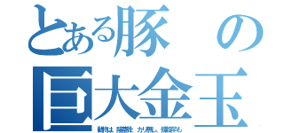 とある豚の巨大金玉（動物は、陰茎骨、カリ無し、螺旋竿も）