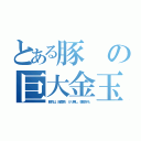 とある豚の巨大金玉（動物は、陰茎骨、カリ無し、螺旋竿も）