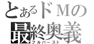 とあるドＭの最終奥義（フルバースト）