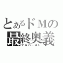 とあるドＭの最終奥義（フルバースト）