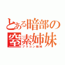 とある暗部の窒素姉妹（ブラコン姉妹）