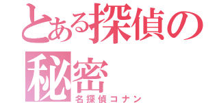 とある探偵の秘密（名探偵コナン）