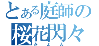 とある庭師の桜花閃々（みょん）