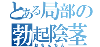 とある局部の勃起陰茎（おちんちん）