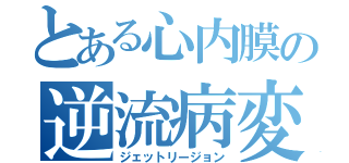 とある心内膜の逆流病変（ジェットリージョン）