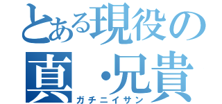 とある現役の真・兄貴（ガチニイサン）