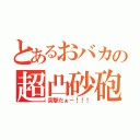 とあるおバカの超凸砂砲（突撃だぁー！！！）