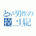 とある男性の拉麵日記（ウマウマックス）