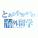 とある小野恵令奈の海外留学（ホームステイ）