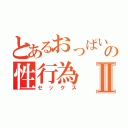 とあるおっぱいの性行為Ⅱ（セックス）