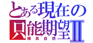 とある現在の只能期望Ⅱ（順其自然）