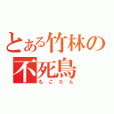 とある竹林の不死鳥（もこたん）