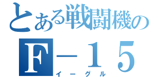 とある戦闘機のＦ－１５（イーグル）