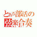 とある部活の弦楽合奏（音よ、響け！）