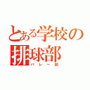 とある学校の排球部（バレー部）