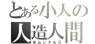 とある小人の人造人間（ホムンクルス）