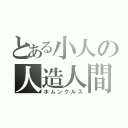 とある小人の人造人間（ホムンクルス）