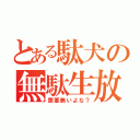 とある駄犬の無駄生放送（需要無いよな？）