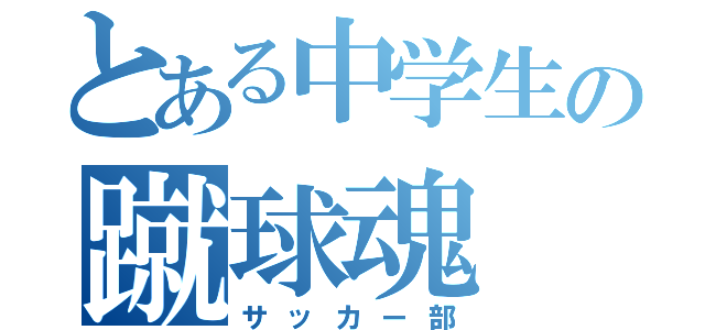 とある中学生の蹴球魂（サッカー部）