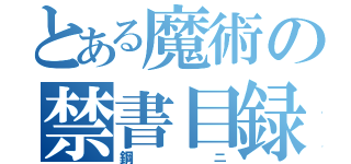 とある魔術の禁書目録（鋼ニ）