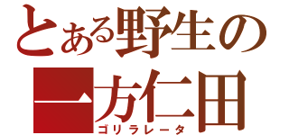 とある野生の一方仁田（ゴリラレータ）