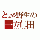 とある野生の一方仁田（ゴリラレータ）