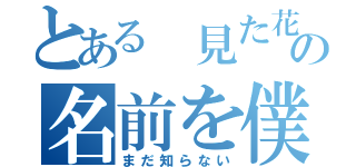 とある 見た花の名前を僕たちは（まだ知らない）