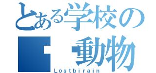 とある学校の㊙︎動物園（Ｌｏｓｔｂｉｒａｉｎ）