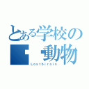 とある学校の㊙︎動物園（Ｌｏｓｔｂｉｒａｉｎ）