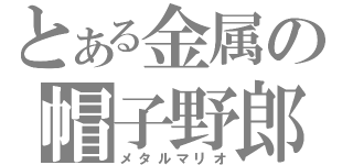 とある金属の帽子野郎（メタルマリオ）