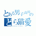 とある男子高校生たちのどら猫愛好会（どっどっどードーラネコー）