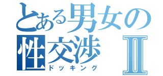 とある男女の性交渉Ⅱ（ドッキング）