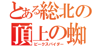 とある総北の頂上の蜘蛛男（ピークスパイダー）