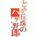 とある丘珠のハゲ野郎（庄内谷）