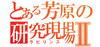 とある芳原の研究現場Ⅱ（ラビリンス）