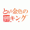 とある金色の鯉キング（金鯱）