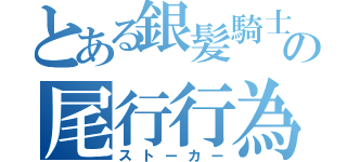 とある銀髪騎士の尾行行為（ストーカー）