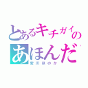 とあるキチガイのあほんだら（安川ほのか）