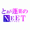 とある蓬莱のＮＥＥＴ（かぐやさん）