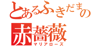 とあるふきだまりの赤薔薇（マリアローズ）