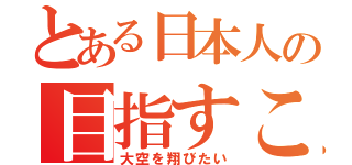 とある日本人の目指すこと（大空を翔びたい）