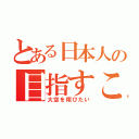 とある日本人の目指すこと（大空を翔びたい）