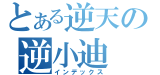 とある逆天の逆小迪（インデックス）